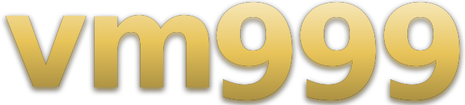 vm999 logo